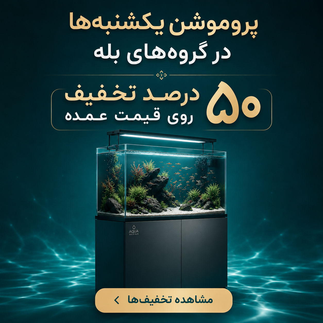 پروموشن