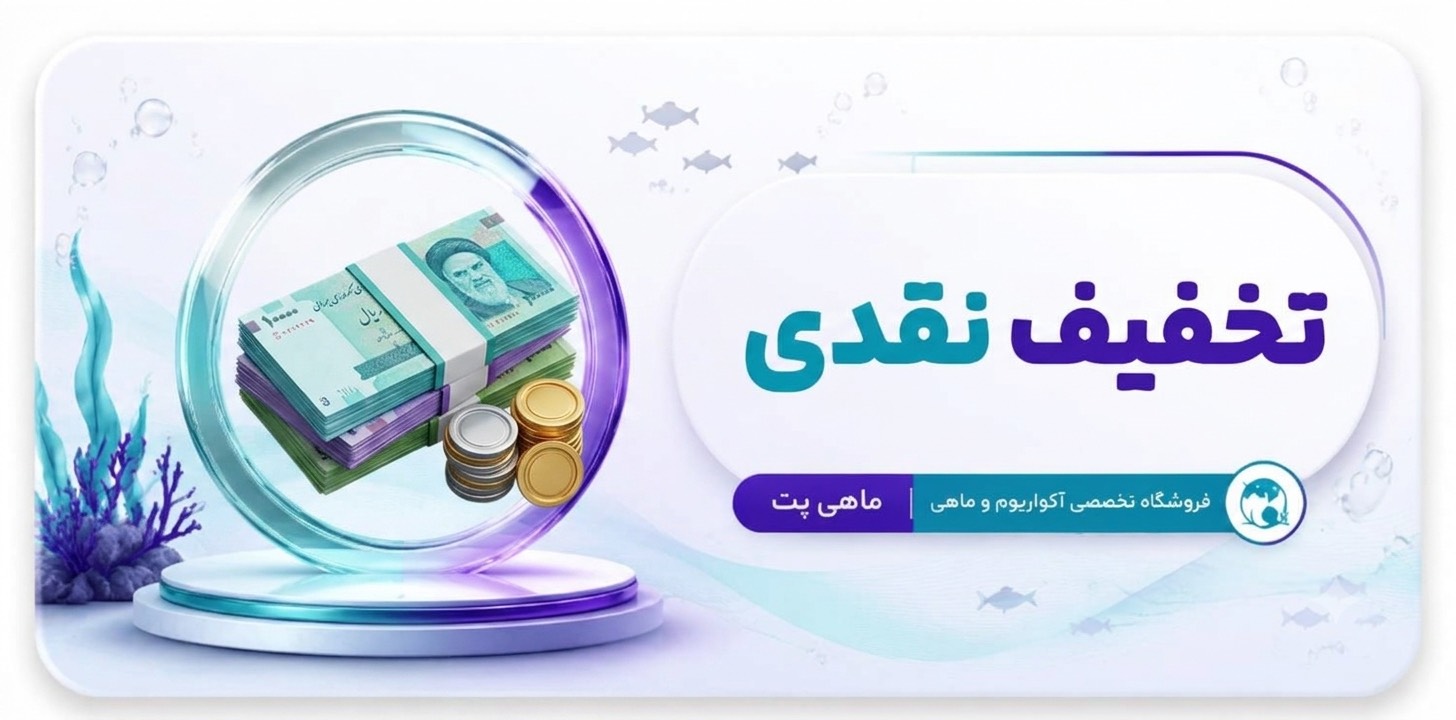 تخفیف نقدی